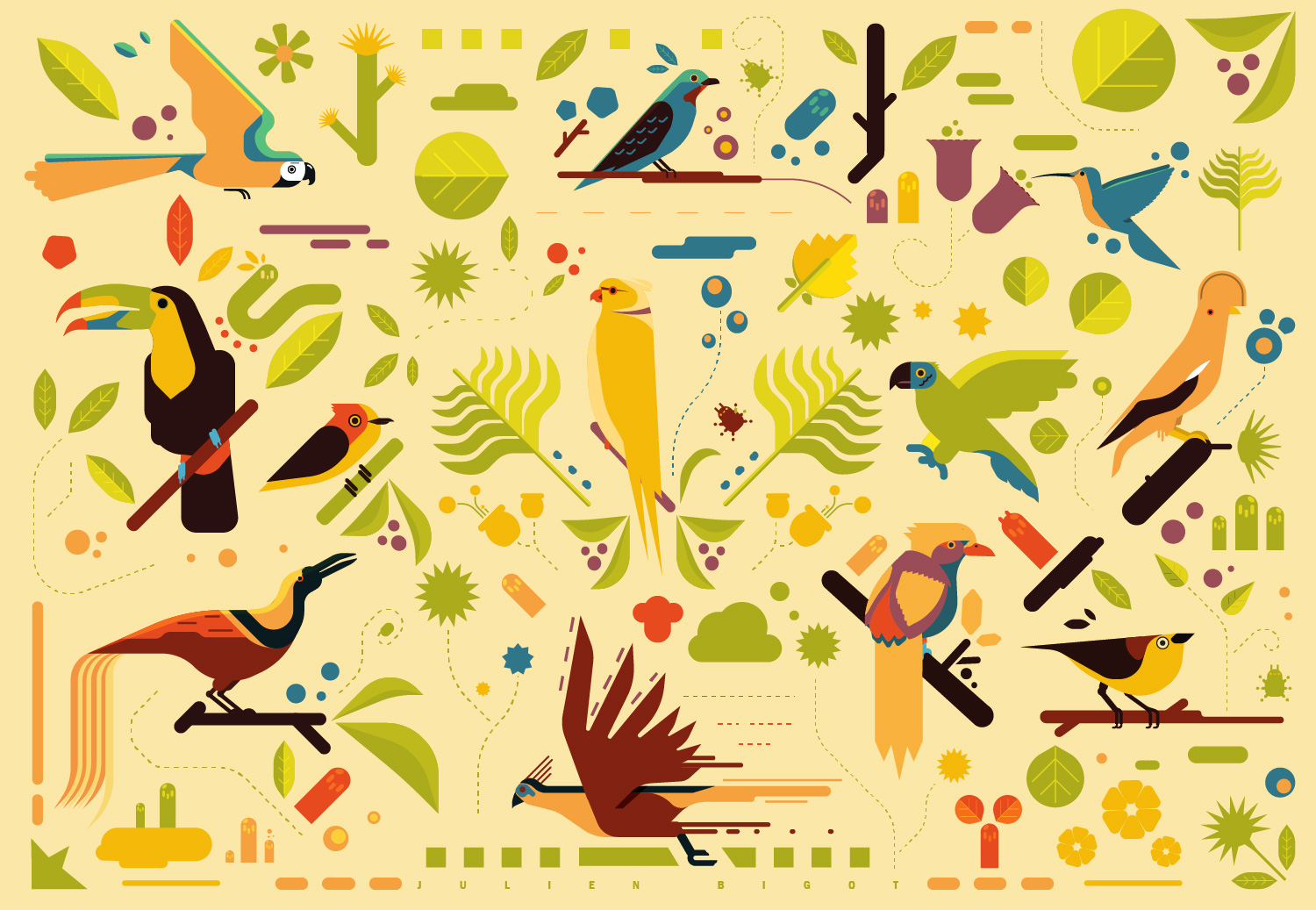 Oiseaux d&rsquo;Amazonie